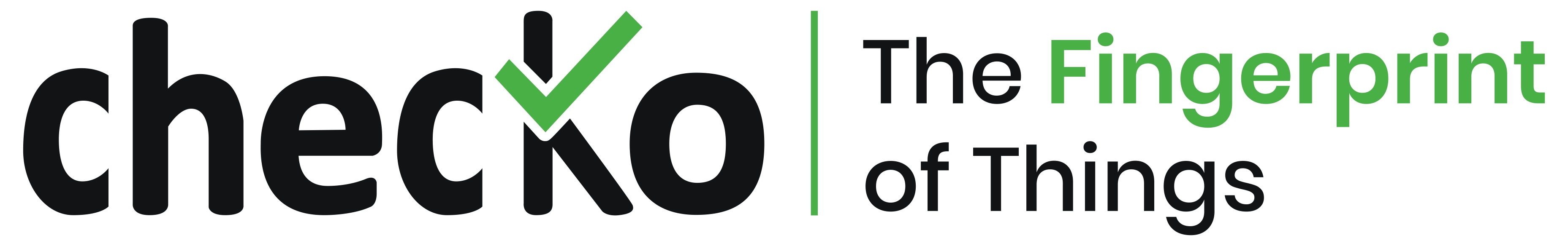 CHECKO-LOGO_Silver_Partner_page-0001